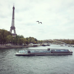 Гостиница Eiffel Tower Champs De Mars  Париж